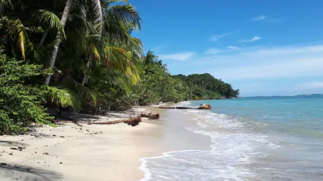plage amérique centrale