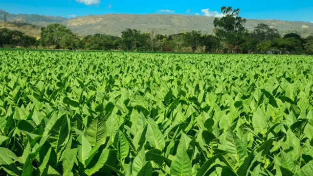La ville d’Estelí au Nord du Nicaragua