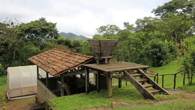 paysage d'une plantation de café à Matagalpa, Nicaragua