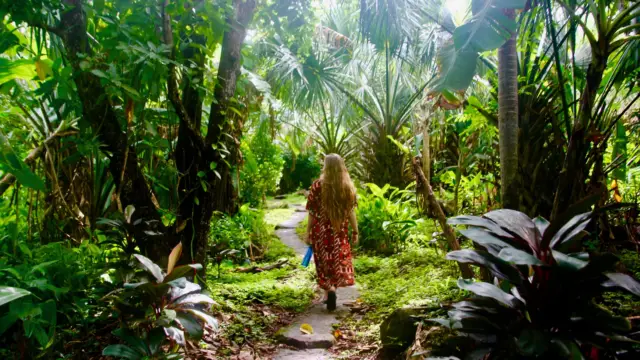 faune-flore-nicaragua