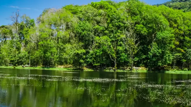 forêt noire de Matagalpa, Nicaragua