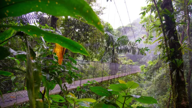 Costa Rica - Volcan Arenal - ponts suspendus