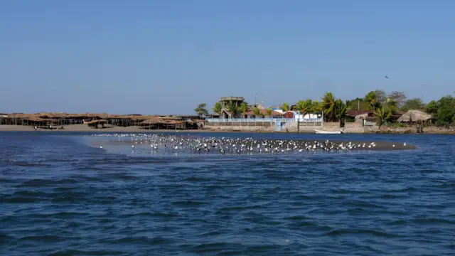 Isla Juan Venado, Nicaragua