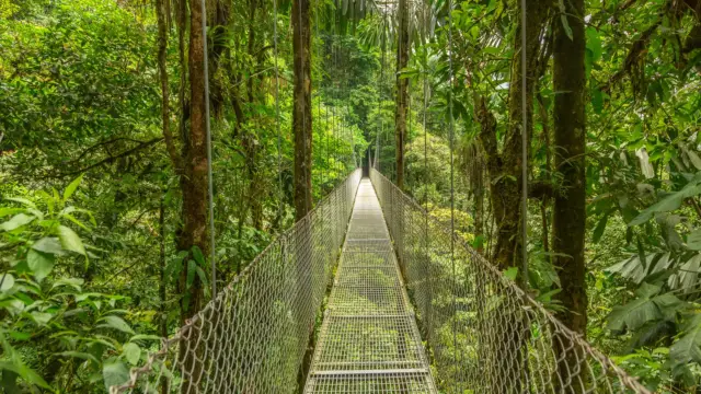 Costa Rica - Pont suspendu
