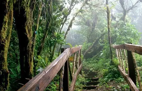 Séjour incontournable au Nicaragua