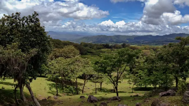 Miraflor Natural Reserve, Esteli, Nicaragua, Central America
