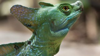 Séjour incontournable au Nicaragua