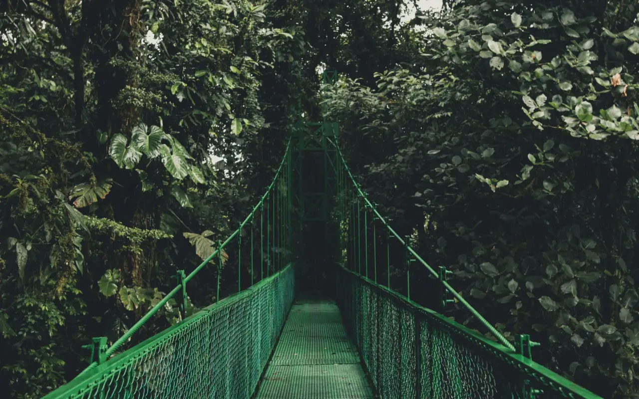 Jungle Nicaragua