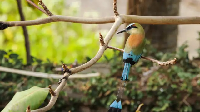 Guadabaranco, Jinotega, Matagalpa, NIcaragua