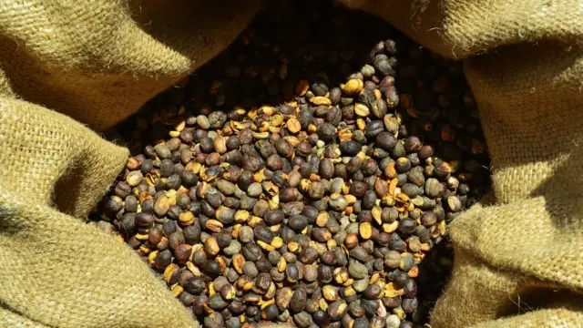 café nicaragua