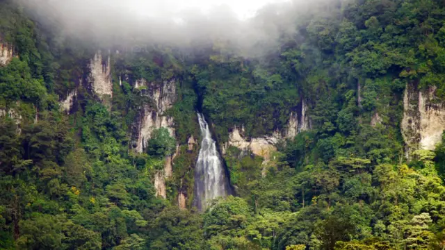 massif de Matagalpa - circuit au Nicaragua