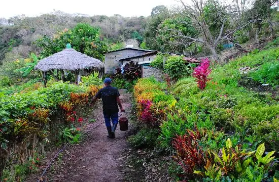 Voyage nature et culture au Nicaragua