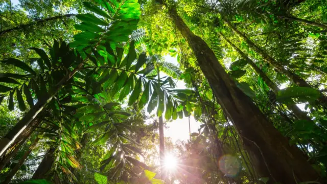 Costa Rica - nature