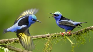 Voyage entre nature et culture<br><b>  Richesses du Nicaragua</b>