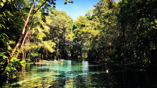 Ometepe - Ojo de Agua source naturelle - Nicaragua