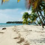 5. Les Caraïbes