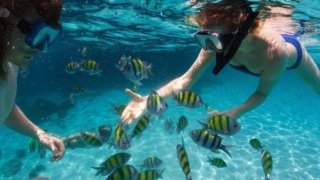snorkeling