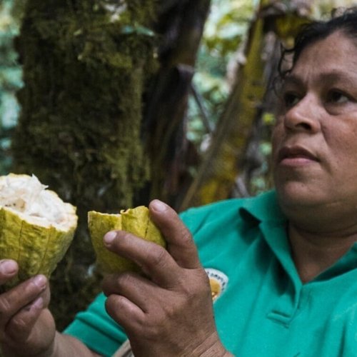 Au coeur de la culture nicaraguayenne