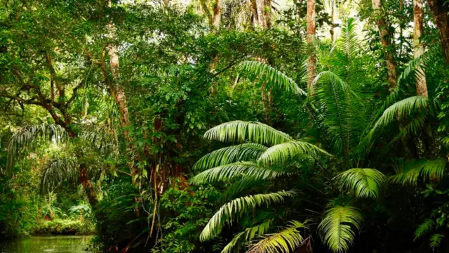 Les incontournables du Nicaragua en un voyage