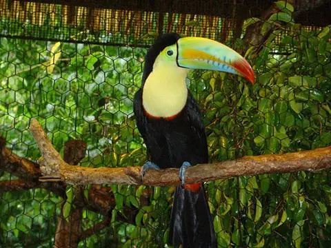 Les incontournables du Nicaragua en un voyage