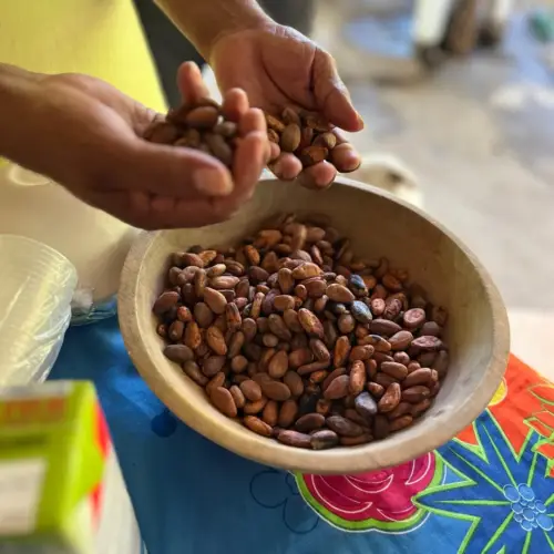 Le Nicaragua Solidaire