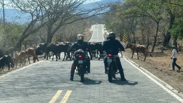 route trip moto